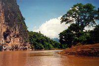 Pak Ou