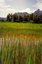 Vang Vieng